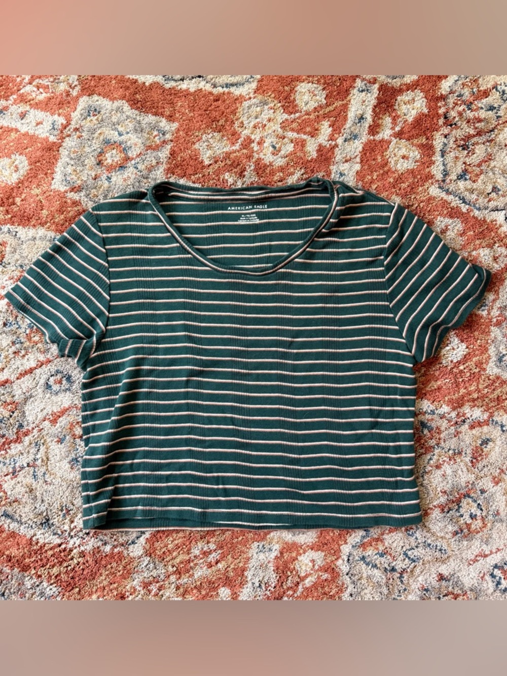 American Eagle Outfitters Dark Green and White Striped Crop Top